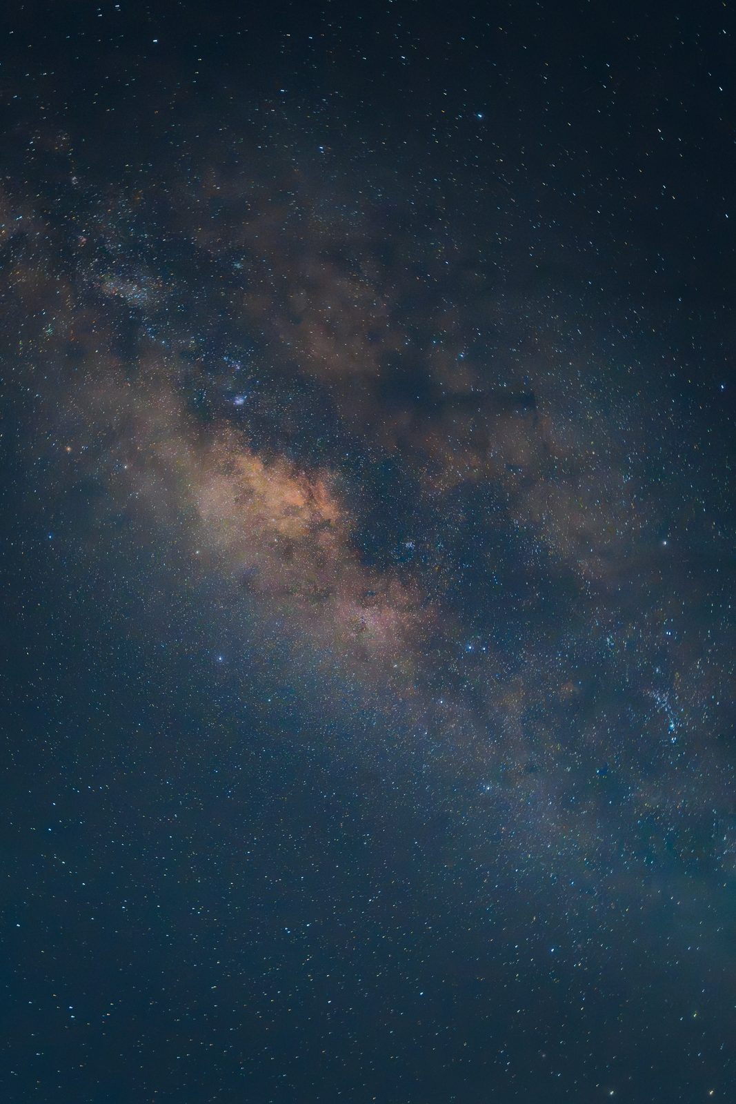 The Milky Way over the forest at night