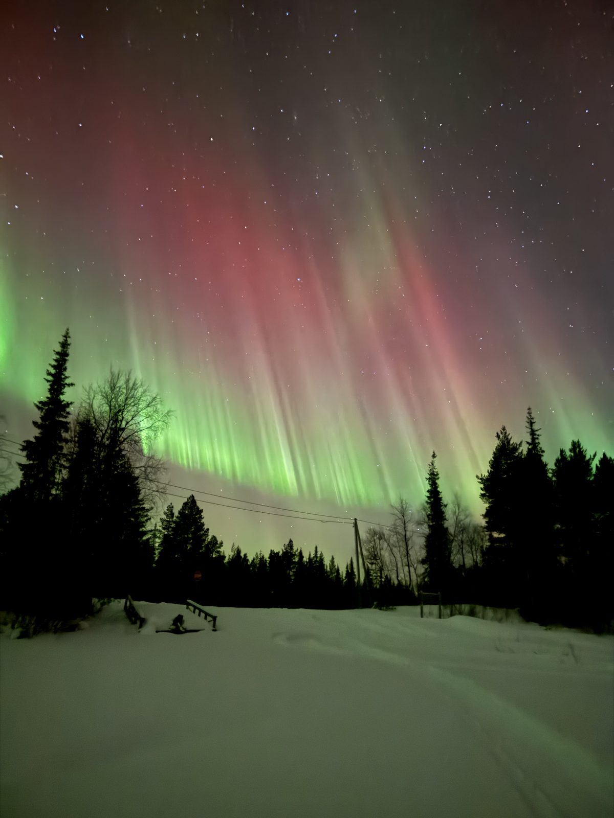 Aurora over a snow-covered track through the forest